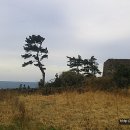 애월연대 이미지