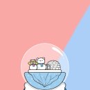 부산언니