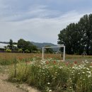 나래목장 이미지