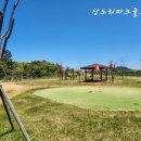 지미안 | 함께 떠난 제주 골프 여행 ⛳️ 상도리 파크골프장과 차로 7분거리에 있는 구좌펜션 [지미안펜션] 후기