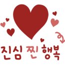 여수 댕댕이 애견 가족펜션 골드 이미지