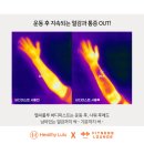 룰루 휘트니스 이미지