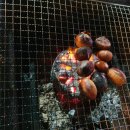 물소리새소리펜션 이미지