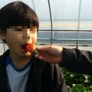 석교농장 이미지