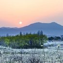 정렬사 | 나주와 오래된 차나무: 문화·자연 유산의 상징