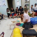 강성호 반려견 스쿨 이미지