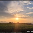 PYB행정사사무소 이미지