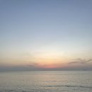 하이보리