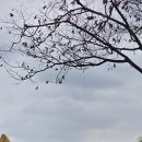 중앙조명 | 국립중앙박물관 방문 및 굿즈 &lt;경주 석굴암 조명&gt; 후기