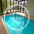 하이몽애견풀빌라 | 서울 근교 가평 풀빌라 하이몽 애견 풀빌라 펜션 내돈내산 이용후기