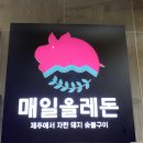 매일올레돈 이미지