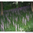 상록농장 이미지