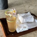 보홀 5성 숙소 아모리타 리조트 : 가격, 체크인, 디럭스룸 2박 후기