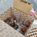 마마큐 공방 | 어울장플리마켓, 광주 플리마켓후기-김대중컨벤션센터24.9.6-24.9.8(금,토,일)