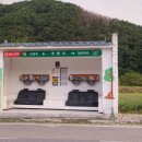 횡성군갑천면추동보건진료소 | 시골 마을에 우리나라 최고 럭셔리한 버스 정류장