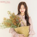 스튜디오틀