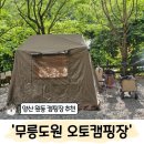 무릉도원 - 원주시 원문로100번길 90 | 부산 근교 계곡 오토캠핑장 추천 양산 원동 '무릉도원 오토캠핑장' C24 사이트 후기