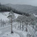 겨울연가