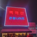 백악관관광나이트
