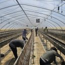 한국농어촌공사합천지사 이미지