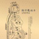 척추자세교정 걷기테라피 이미지