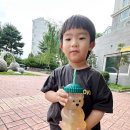 베어짐(BEAR GYM) | 빨대텀블러 찾다가 반한 베어무드 BEARMOOD 유리텀블러~! 곰돌이 유리컵 후기