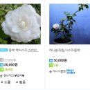 천중농장 이미지