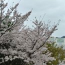 경남아너스빌사거리 이미지