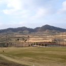 음성 힐데스하임CC 티스토리