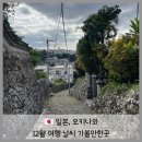 12월 1월 오키나와 여행 날씨 가볼만한곳