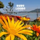 땅끝황토나라테마촌 이미지