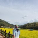 세계거석 테마파크 이미지