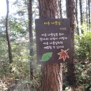 호태산 이미지