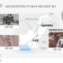 파키스탄 홍수 이재민만 3천만명…"국가 비상상황“...파키스탄 홍수 사망자 1280명 넘어…3분의 1은 어린이 이미지