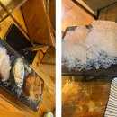 작은 섬소년 이미지