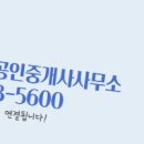 진흥공인중개사사무소 네이버블로그