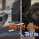 순덕농장 이미지