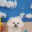 소사미용실 이미지