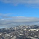 춘화분식