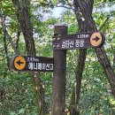 9월 1일 경기도 하남시의 명산 검단산을 산행함 이미지