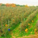 화강펜션 이미지