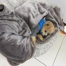 지에스(gs)25 일광디에스점 이미지