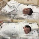 천사의료기 | 소중한 아기들과 제왕절개 회복일기