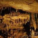 바다와솔숲 이미지