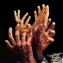 드로잉 & 창의미술 이미지