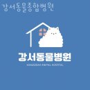 강서동물병원 | 강서구 화곡1동 동물병원 강서동물종합병원 위치 오는길 후기
