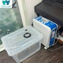 충북산소 | 🐱 충북 음성 고양이 산소방 설치 후기