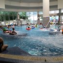 스프링폴 이미지