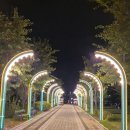 구수경로당 | 2일차) 1박 2일 프립 세종이음여행 리얼 후기(feat. 이응다리 대통령기록관 맥선생 베어트리파크)