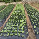 청화모텔 이미지